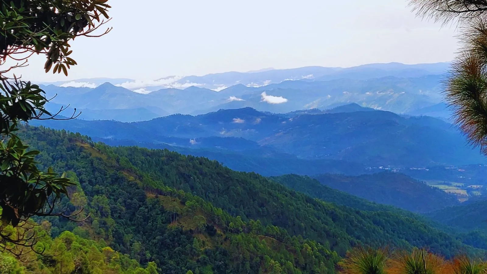 Kathgodam to Binsar Taxi Service